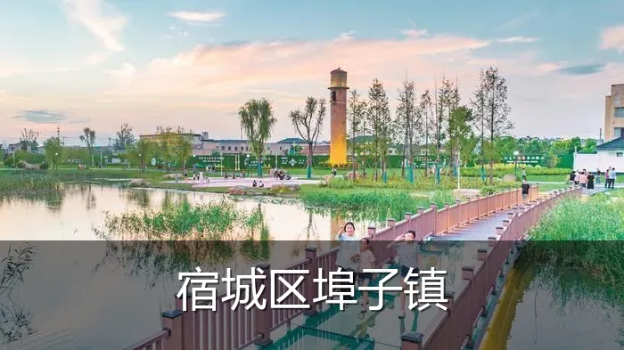 宿城区埠子镇
