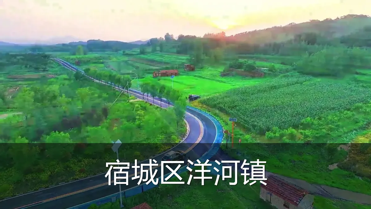 宿城区洋河镇